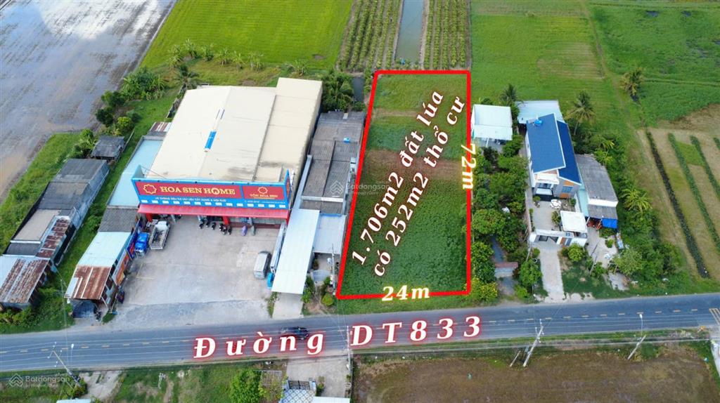 Bán đất mặt tiền đt833 tp. tân an, ngang 24m dài 72m