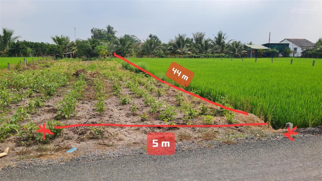 Bán đất full thổ cư 220m2 (5x44m) đường nhựa đăng mỹ, xã bình đức  tỉnh tây ninh mới