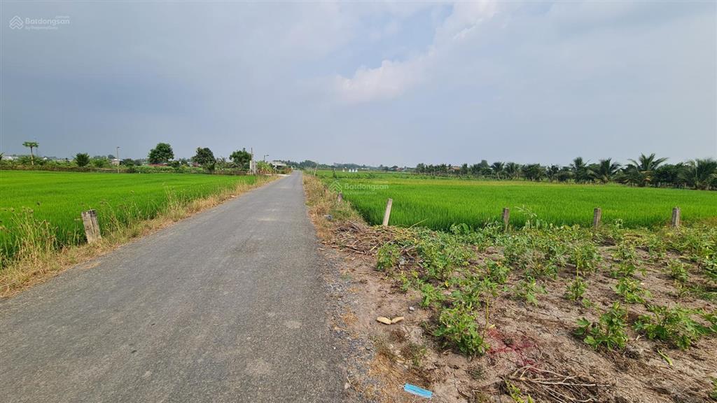 Bán đất full thổ cư 220m2 (5x44m) đường nhựa đăng mỹ, xã bình đức  tỉnh tây ninh mới