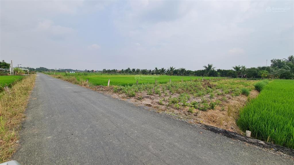 Bán đất full thổ cư 220m2 (5x44m) đường nhựa đăng mỹ, xã bình đức  tỉnh tây ninh mới
