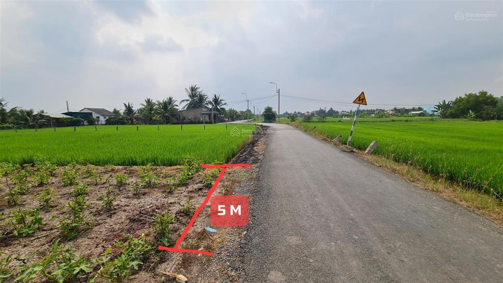 Bán đất full thổ cư 220m2 (5x44m) đường nhựa đăng mỹ, xã bình đức  tỉnh tây ninh mới
