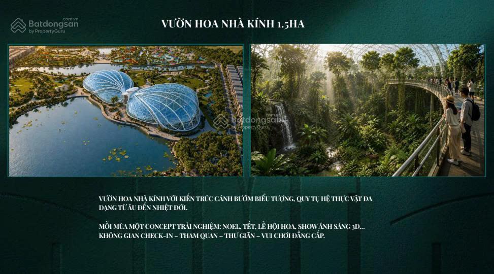 Siêu phẩm lô góc as62  0x, 75m2, 8.9 tỷ, vị trí vàng, kinh doanh sầm uất, đẳng cấp nhất dự án
