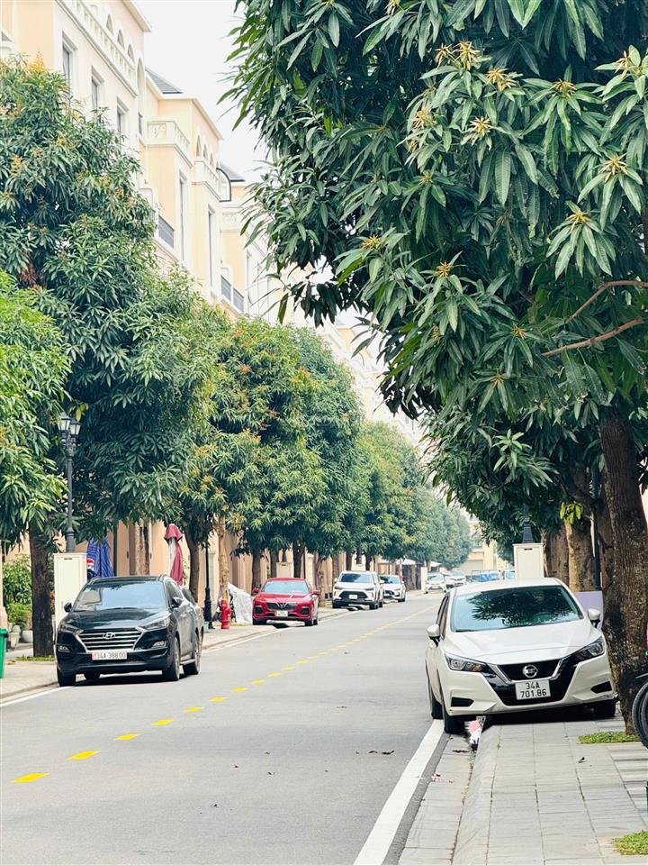Chính chủ bán liền kề xẻ khe ha7 vinhomes ocean park 2 hưng yên 91m², giá tốt chỉ 12,5 tỷ
