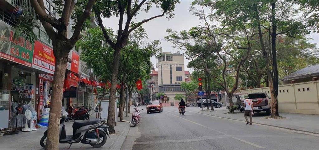 Hiếm! bán lô góc tđc thanh am việt hưng long biên 90m², mặt tiền 17,5m, kinh doanh đỉnh, giá 22,5tỷ