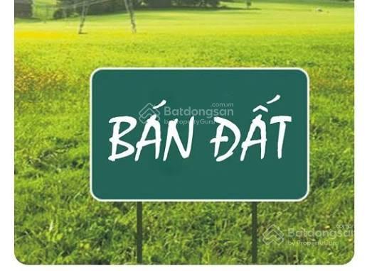 Bán đất trục kinh doanh  đối diện trường mầm non kim đính