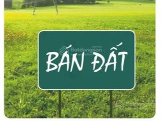 Bán đất trục kinh doanh  đối diện trường mầm non kim đính