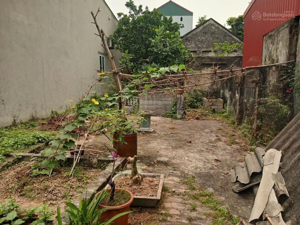 Bán đất tại trung tú, ứng hòa, hn diện tích 117,7m² full thổ cư