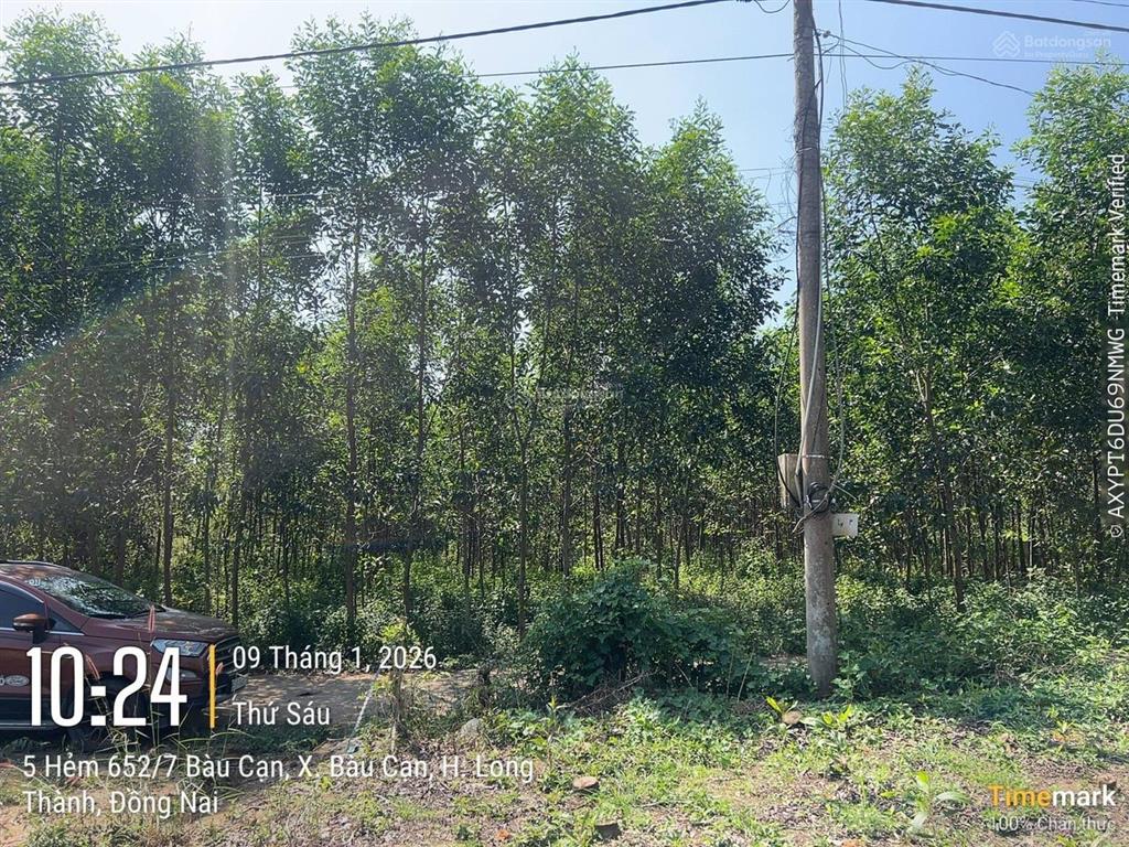 Chính chủ bán đất trong khu dân cư bàu cạn