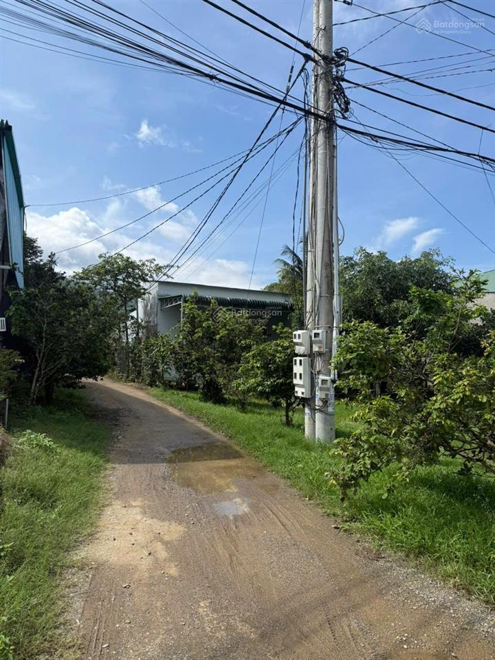 Cần bán mảnh vườn nghỉ dưỡng 2300m2, siêu dễ thương ngụ tại thị trấn đạm ri, nay là xã đạ huoai 2