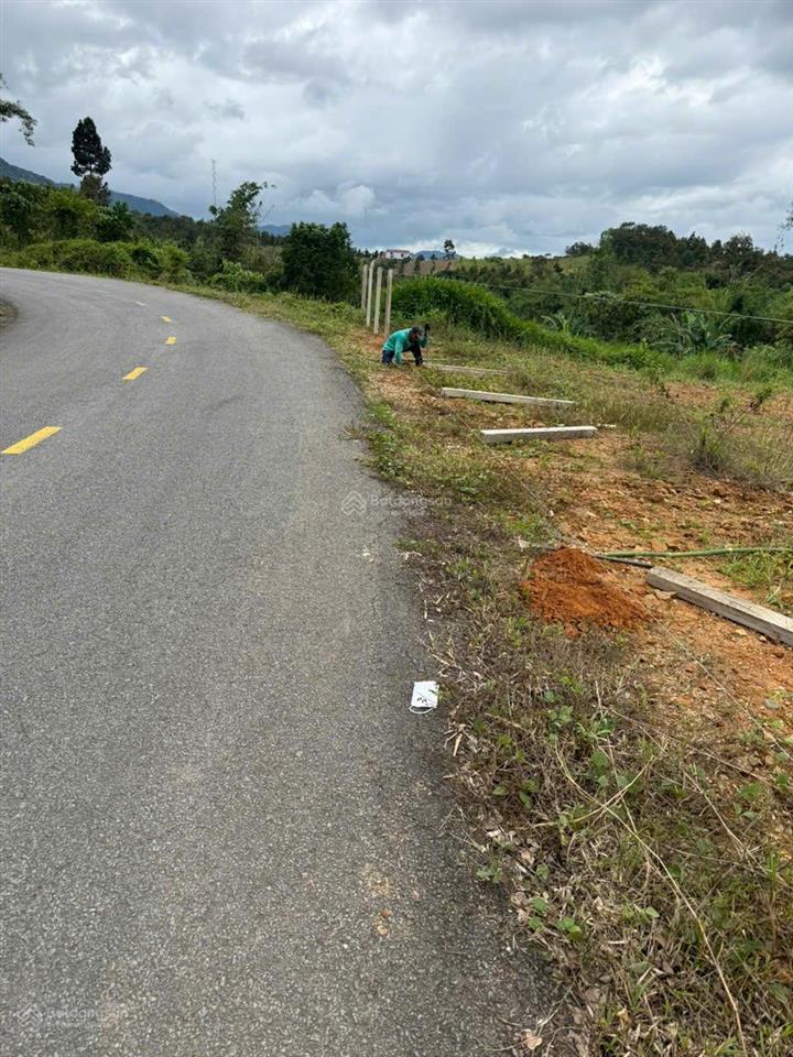 Em cần bán đất đẹp chính chủ view rừng nguyên sinh đạ huoai 3(xã đoàn kết cũ) sổ đỏ cầm tay