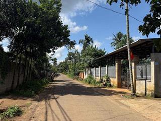 mặt tiền mậu thân