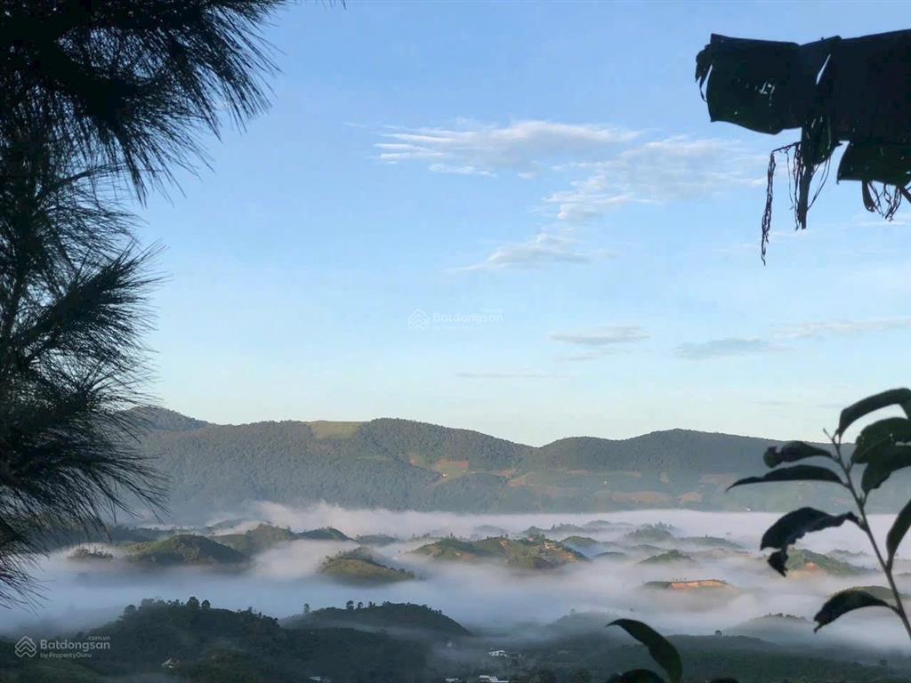 Mảnh đất lý tưởng để nghỉ dưỡng hoặc xây dựng homestay. khu cắm trại  thu nhập hằng năm 3 tấn cafe