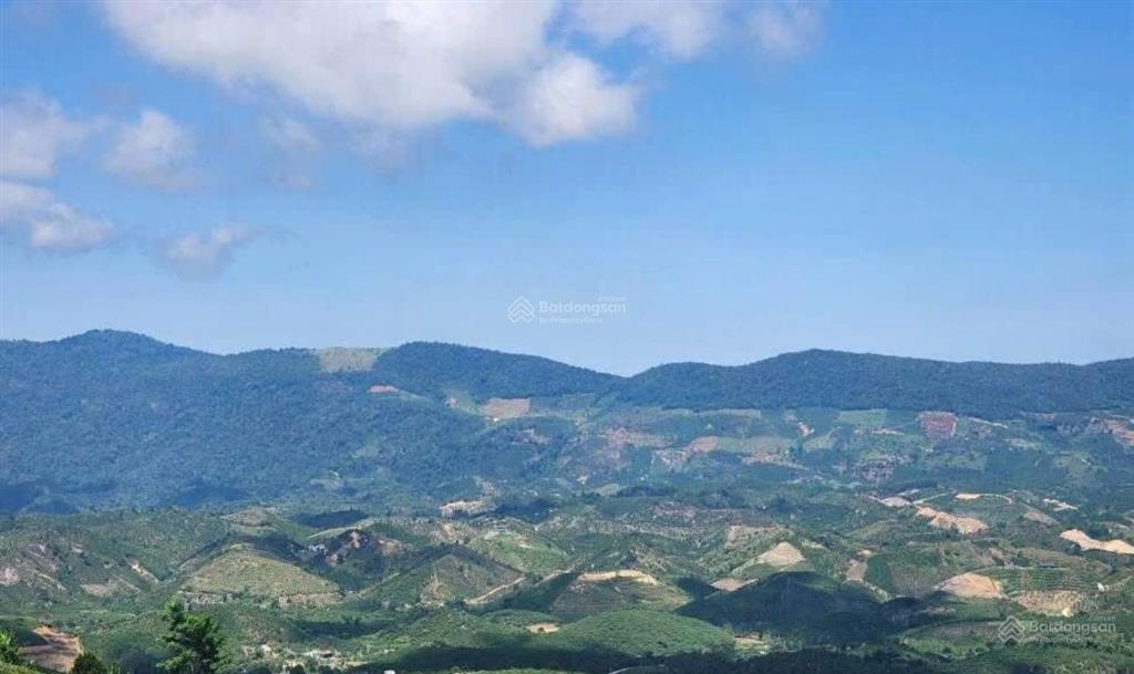 Mảnh đất lý tưởng để nghỉ dưỡng hoặc xây dựng homestay. khu cắm trại  thu nhập hằng năm 3 tấn cafe