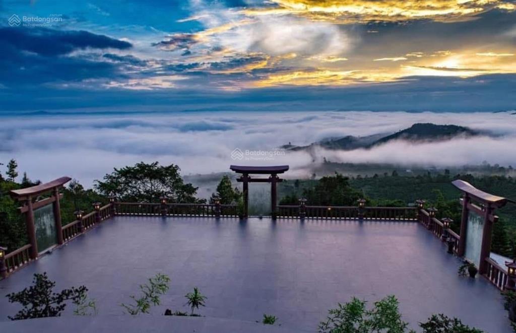 Mảnh đất lý tưởng để nghỉ dưỡng hoặc xây dựng homestay. khu cắm trại  thu nhập hằng năm 3 tấn cafe
