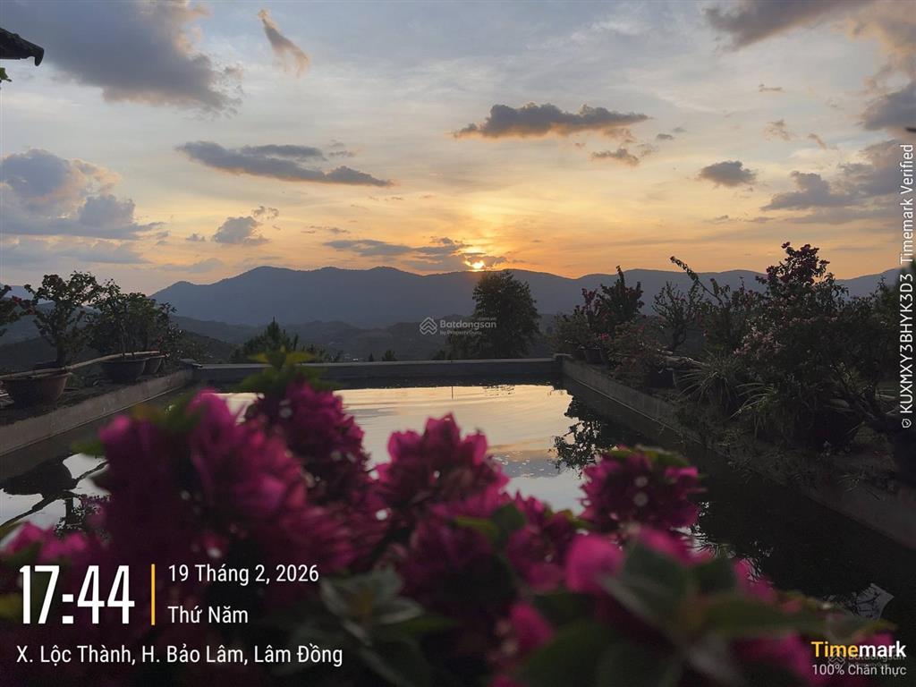 Mảnh đất lý tưởng để nghỉ dưỡng hoặc xây dựng homestay. khu cắm trại  thu nhập hằng năm 3 tấn cafe