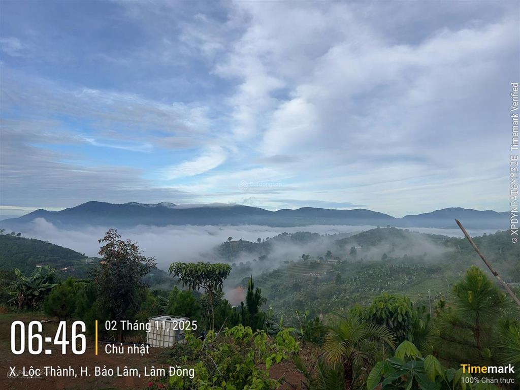 Mảnh đất lý tưởng để nghỉ dưỡng hoặc xây dựng homestay. khu cắm trại  thu nhập hằng năm 3 tấn cafe