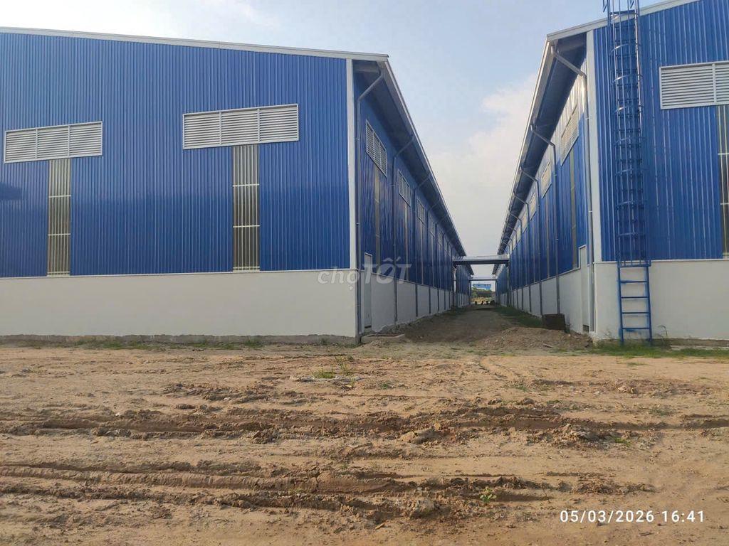 Cho thuê kho Quốc lộ 50 Cần Giuộc 5.000m² – 11.000m² – PCCC tự động 
