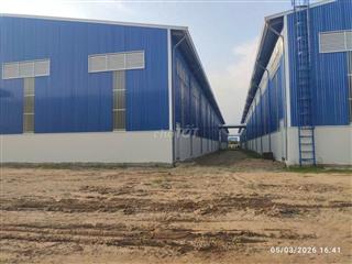 Cho thuê kho Quốc lộ 50 Cần Giuộc 5.000m² – 11.000m² – PCCC tự động 