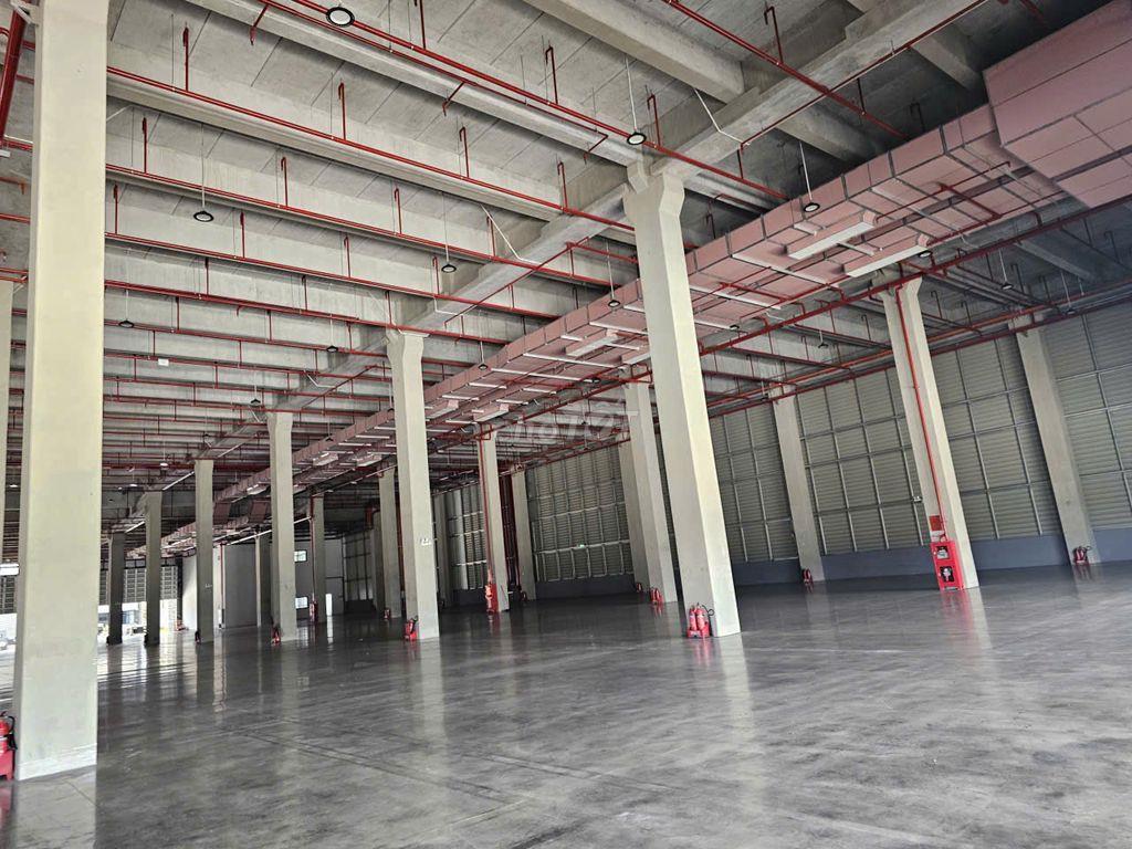 Cho Thuê Kho 5.000m² – 10.000m² KCN Thuận Đạo, Bến Lức – PCCC Tự Động
