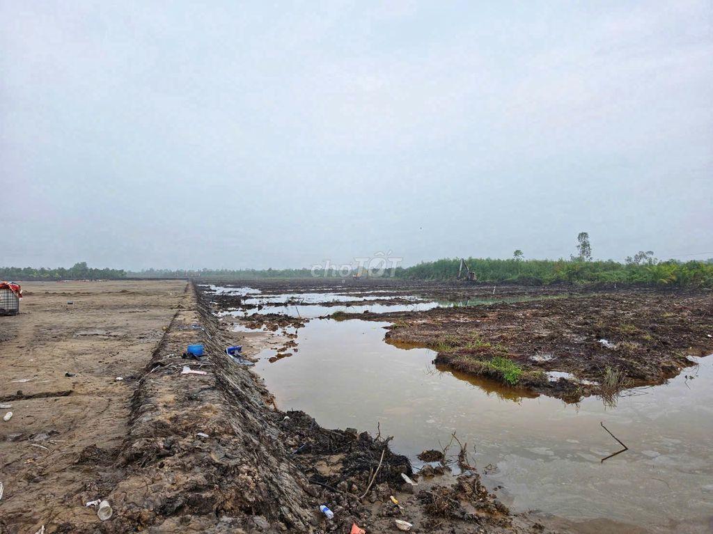 BÁN ĐẤT KHU CÔNG NGHIỆP TÂN PHƯỚC – ĐỒNG THÁP MỚI