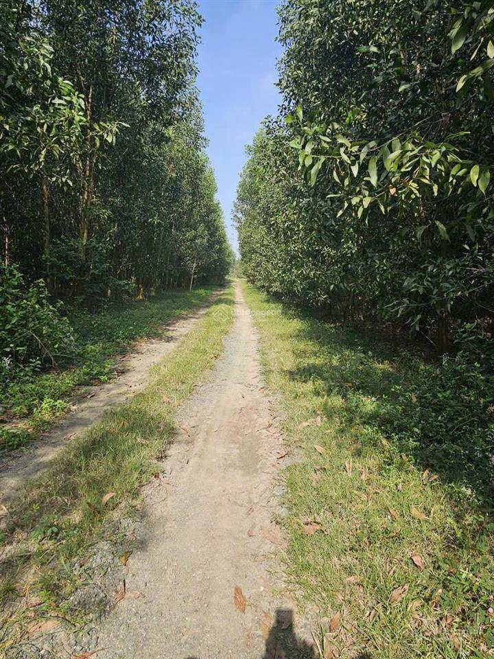 Bán đất khu dân cư phước an giá rẻ