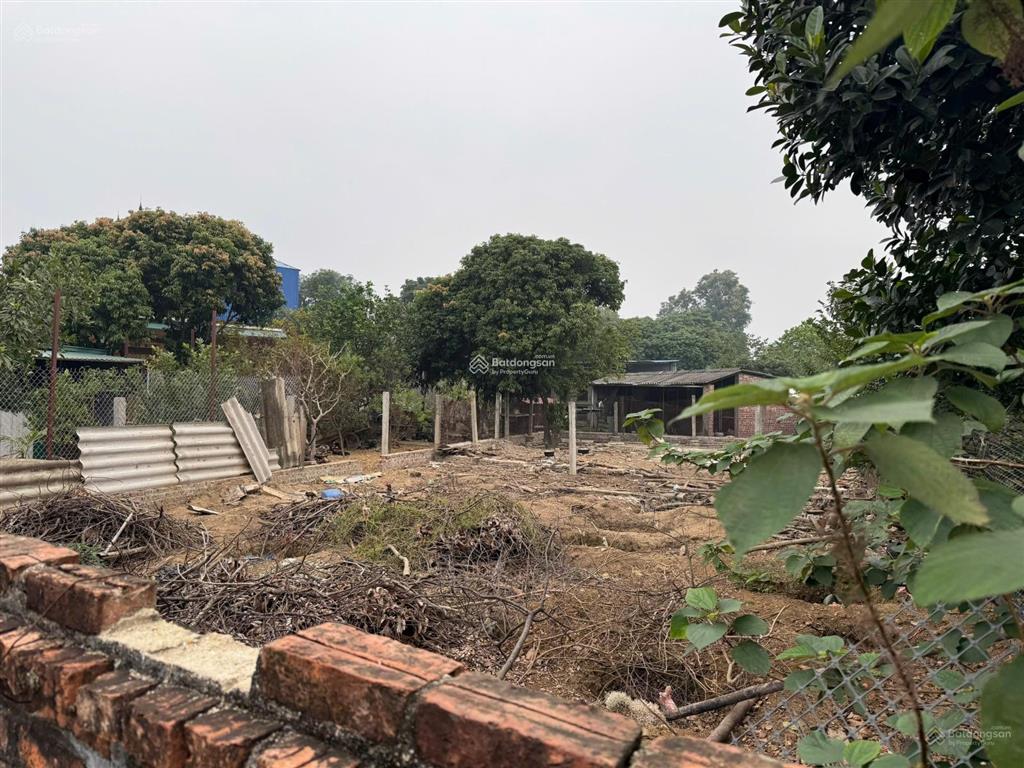 Giá tốt bán đất dt 250m2 vị trí đẹp mặt tiền chính xã phú thịnh, kim anh, sóc sơn, hn