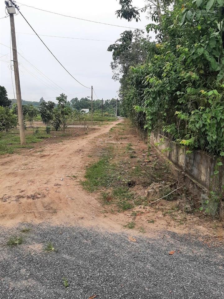 Cho thuê mặt bằng đất trống 1100m² (có thổ cư)