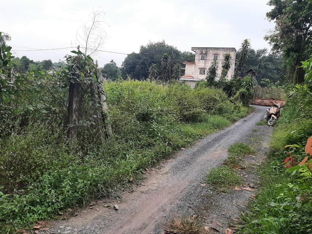 Cho thuê mặt bằng đất trống 1100m² (có thổ cư)