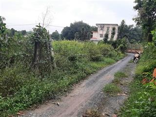 Cho thuê mặt bằng đất trống 1100m² (có thổ cư)