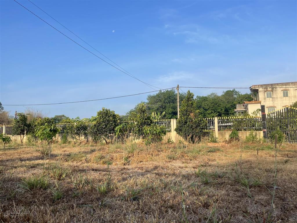 Cho thuê mặt bằng đất trống 1100m² (có thổ cư)