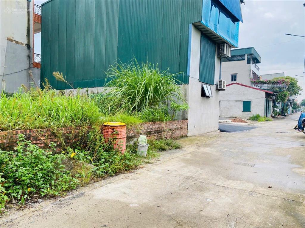 Vip! bán mảnh đất 59m2 tại bìa làng đình tràng, dục tú, đông anh, hn