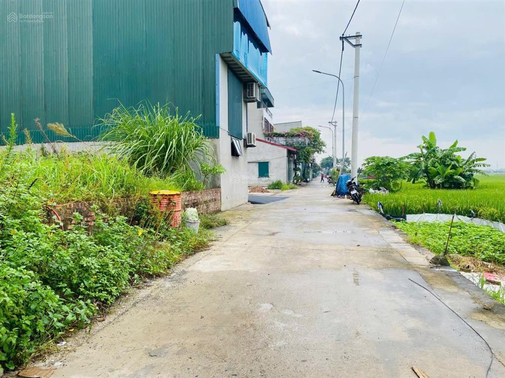 Vip! bán mảnh đất 59m2 tại bìa làng đình tràng, dục tú, đông anh, hn