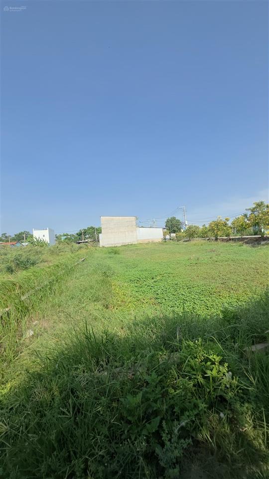 Bán đất tại đê bao, tân quý tây, 8,2 tỷ, 1200m2