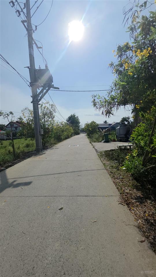 Bán đất tại đê bao, tân quý tây, 8,2 tỷ, 1200m2
