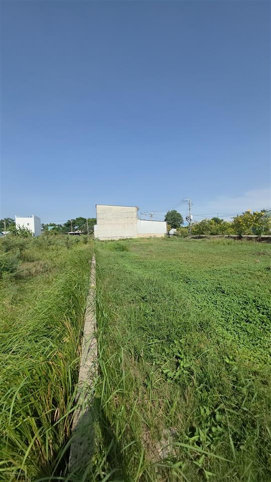 Bán đất tại đê bao, tân quý tây, 8,2 tỷ, 1200m2