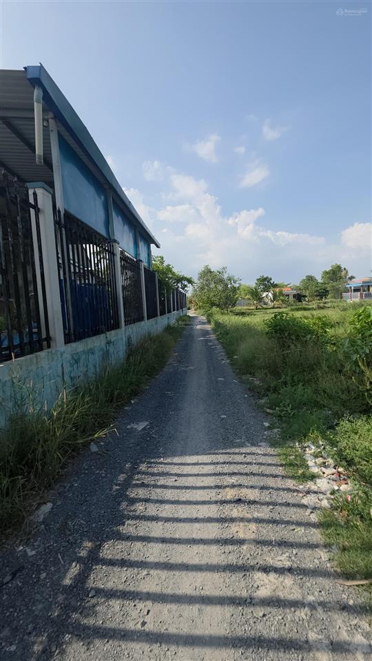 Bán đất tại đê bao, tân quý tây, 8,2 tỷ, 1200m2