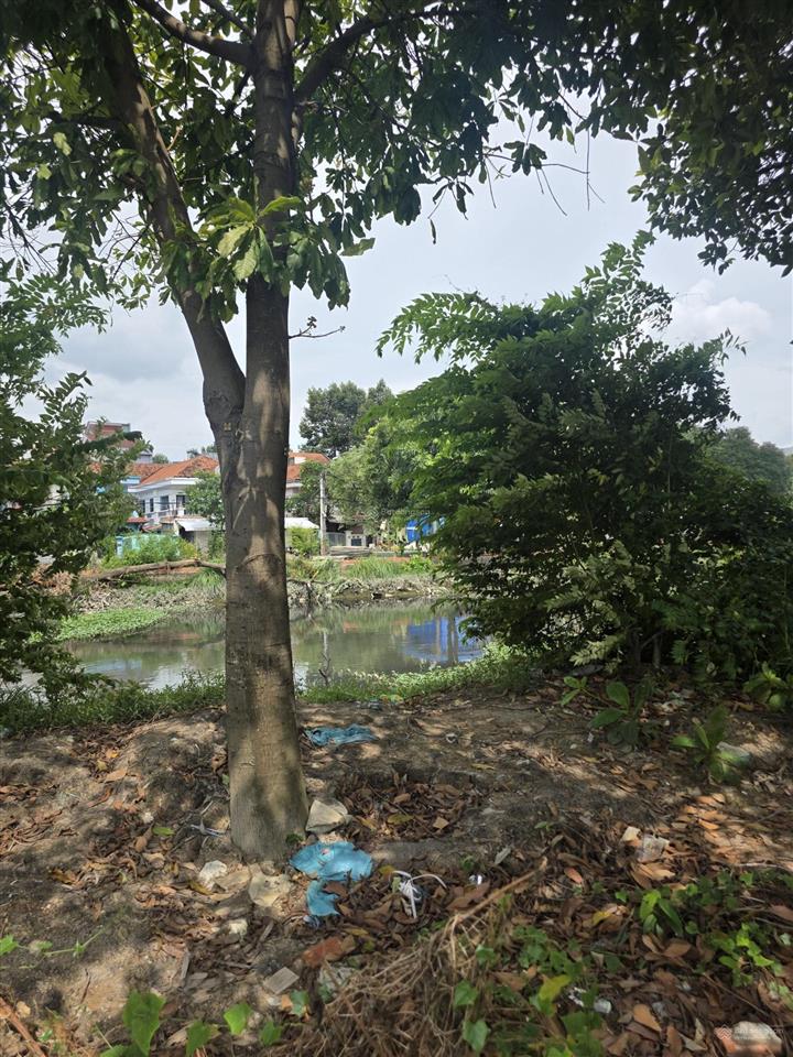 Lô đất góc siêu đẹp, view công viên bờ sông khu dân cư bình hưng
