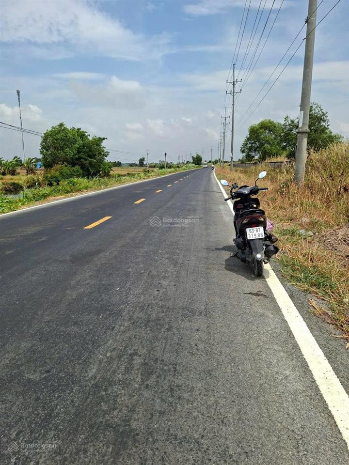 Cần bán 1,2ha đất ruộng tại vàm láng, đối diện cty ống thép. giá 3tỷ500tr.  0901 311 ***