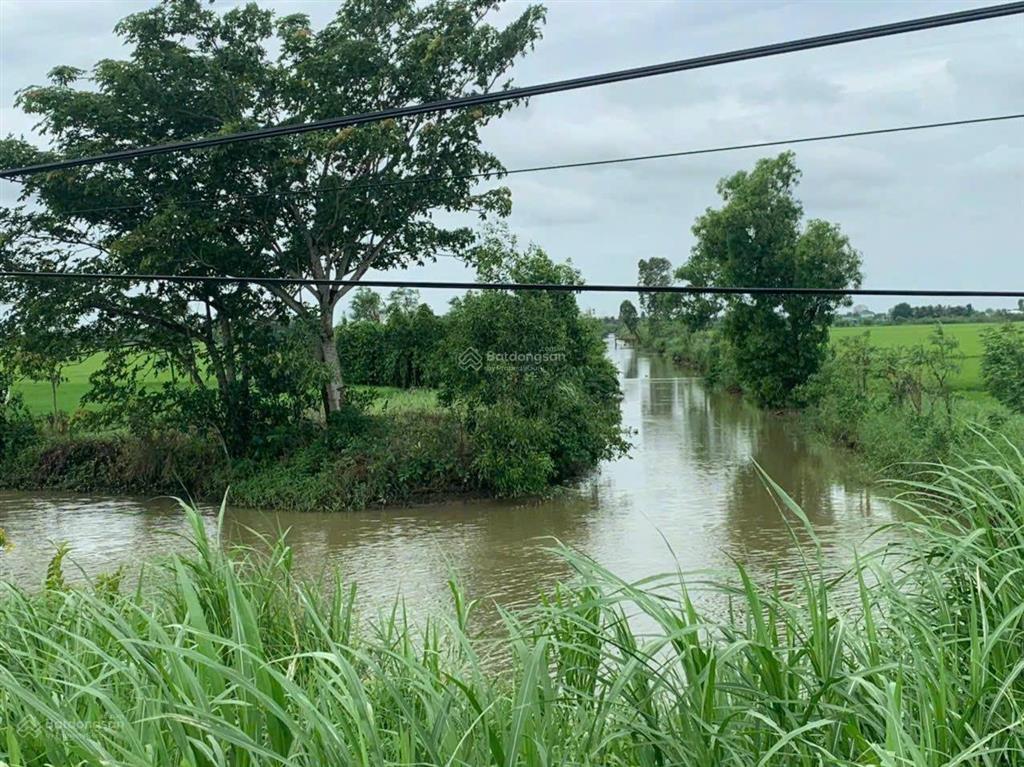 Cần bán 1,2ha đất ruộng tại vàm láng, đối diện cty ống thép. giá 3tỷ500tr.  0901 311 ***