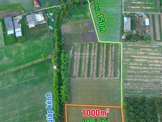 Cần bán nhanh 1000m2 đất tại phường long chánh  gò công. gía 850triệu.  0901 311 ***