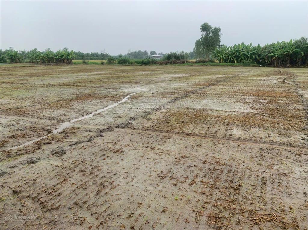 Cần bán nhanh 1000m2 đất tại phường long chánh  gò công. gía 850triệu.  0901 311 ***