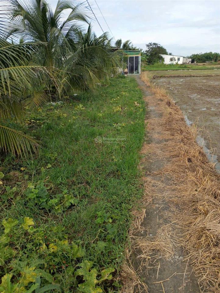 Cần bán nhanh 1000m2 đất tại phường long chánh  gò công. gía 850triệu.  0901 311 ***