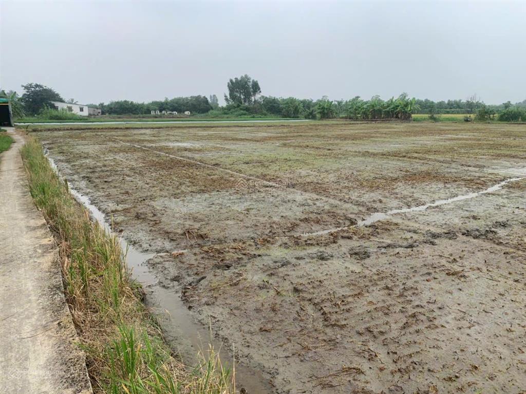 Cần bán nhanh 1000m2 đất tại phường long chánh  gò công. gía 850triệu.  0901 311 ***