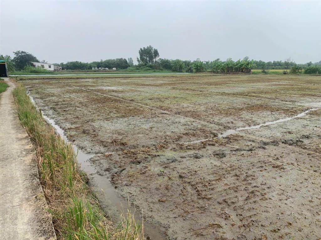Bán nhanh 1000m2 đất tại p. long chánh  gò công. giá 850 triệu.  0901 311 ***
