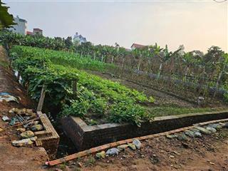 Cần bán lô đất 923m² lô góc mặt tiền 10m cực hiếm phú hiền hợp thành mỹ đưc