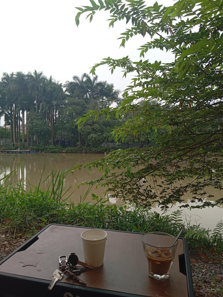 Đất lô góc 300m² mặt tiền kinh doanh đỉnh