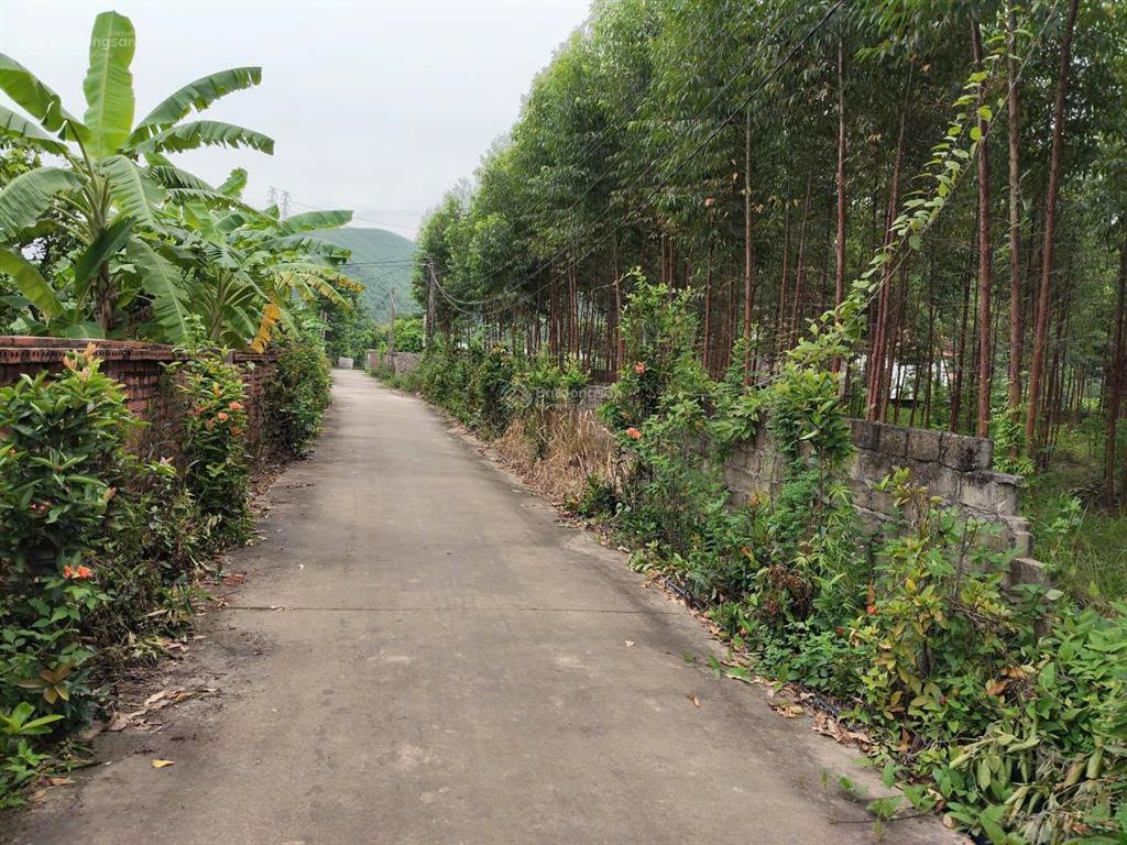 Bán 2.061m đất tại bắc sơn, bình khê, quảng ninh