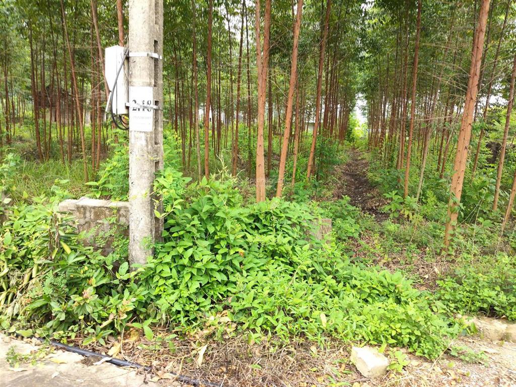 Bán 2.061m đất tại bắc sơn, bình khê, quảng ninh