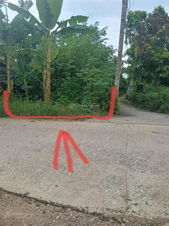 Siêu phẩm đất 1.900m², 200m² thổ cư, giá chỉ 10 triệu/m²