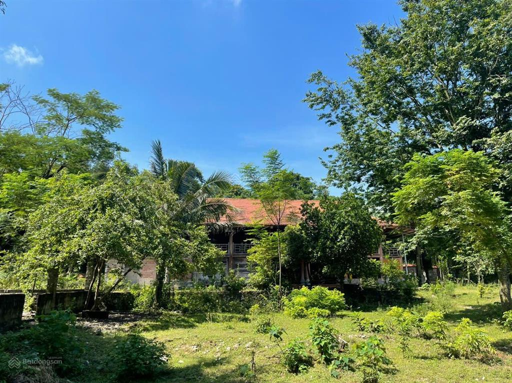 Bán đất chính chủ tại thôn chính trung, xã yên trung